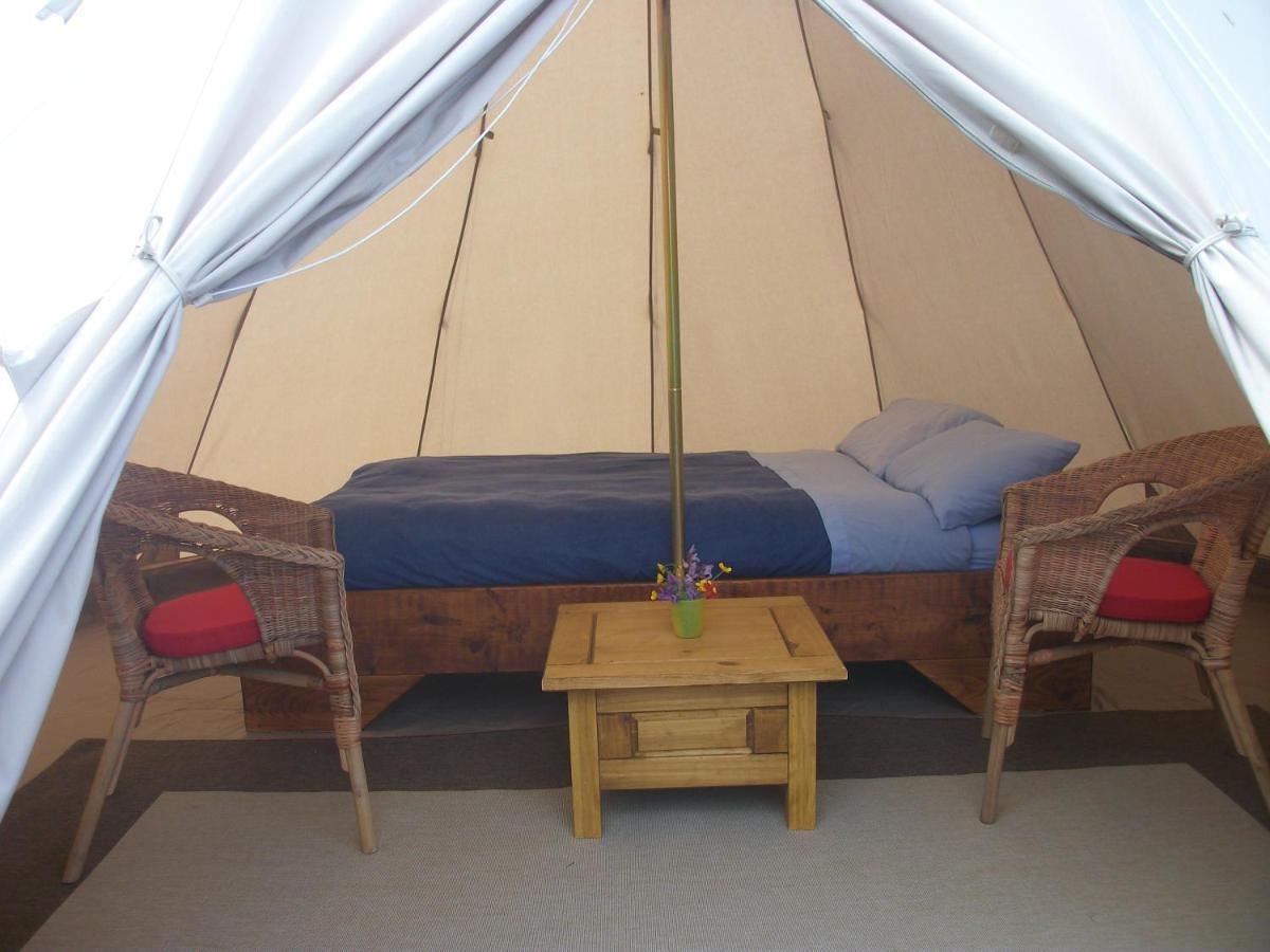 Aille River Tourist Hostel Glamping 둘린 외부 사진